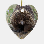 Native Australian Wild Echidna Foto Keramisch Ornament (Rechts)