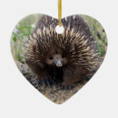 Native Australian Wild Echidna Foto Keramisch Ornament (Voorkant)
