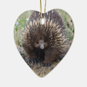 Native Australian Wild Echidna Foto Keramisch Ornament (Links)