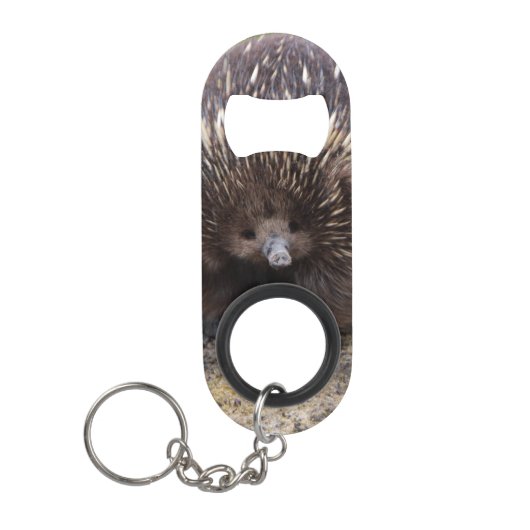 Native Australian Wild Echidna Foto Mini Flessenopener (Voorkant)