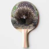 Native Australian Wild Echidna Foto Tafeltennisbatje (Achterkant)