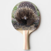 Native Australian Wild Echidna Foto Tafeltennisbatje (Voorkant)
