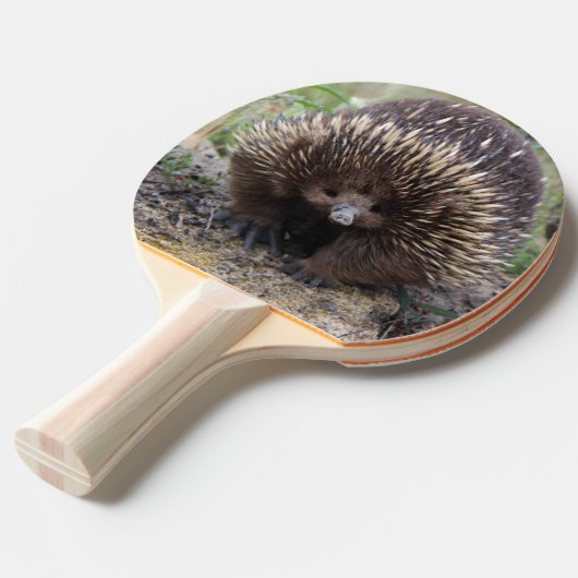 Native Australian Wild Echidna Foto Tafeltennisbatje (Voorkant Gekanteld)