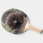 Native Australian Wild Echidna Foto Tafeltennisbatje (Zijkant)