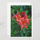 Native Azalea Spring Invitation Card Kaart (Voorkant / Achterkant)