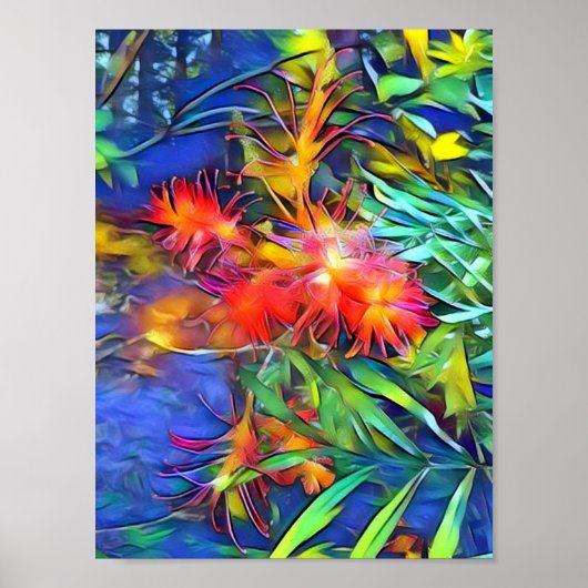 Native Bottle Brush Poster (Voorkant)