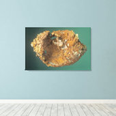 Native Copper (CU), Michigan, Verenigde Staten Canvas Afdruk (Insitu (Houten vloer))