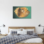 Native Copper (CU), Michigan, Verenigde Staten Canvas Afdruk (Insitu (Slaapkamer))