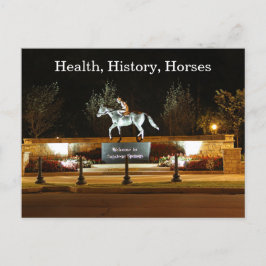 Native Dancer Horse Statue Saratoga Briefkaart