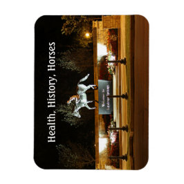 Native Dancer Horse Statue Saratoga Magnet Magneet