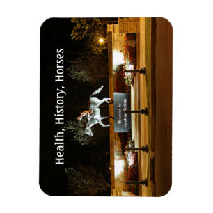 Native Dancer Horse Statue Saratoga Magnet Magneet