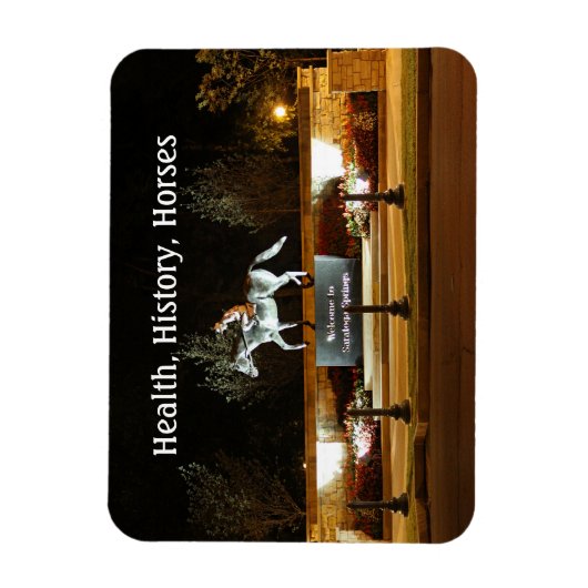 Native Dancer Horse Statue Saratoga Magnet Magneet (Verticaal)