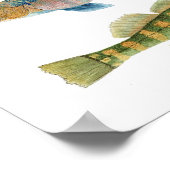 Native Darters Poster (Hoek)