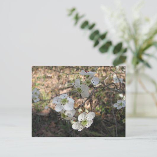 Native Mayhaw Flowers Briefkaart (Staand voorkant)