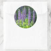 Native Minnesota Paarse Lupine Ronde Sticker (Tas)
