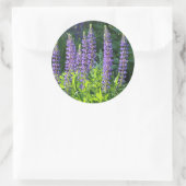 Native Minnesota Paarse Lupine Ronde Sticker (Tas)
