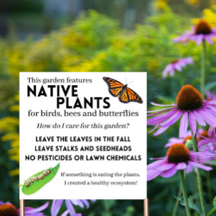 Native Plant Tuinbord - Vogels/Bijen/Vlinders