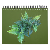 Native Plants - Pacific northwest Kalender (Hoes)