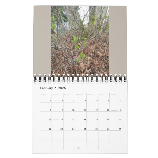 Native Plants - Pacific northwest Kalender (Feb 2026)