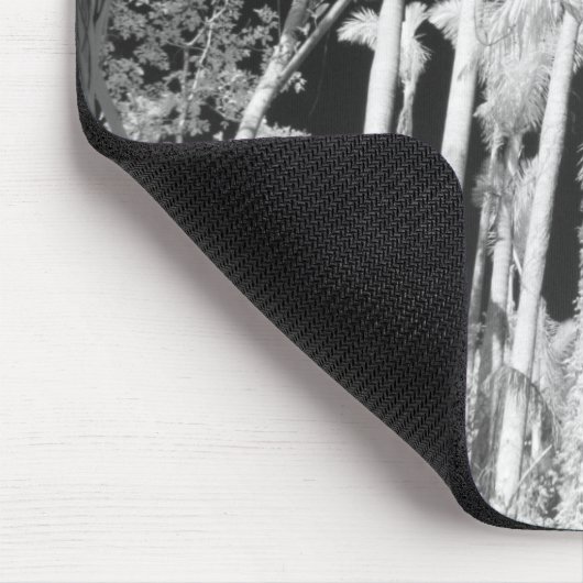 Native Royal Palms in Fakahatchee Strand Muismat (Hoek)