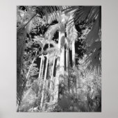 Native Royal Palms in Fakahatchee Strand Poster (Voorkant)