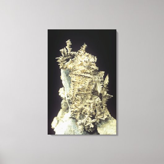 Native Silver (Ag) op kalksteen, Canada Canvas Afdruk (Voorkant)