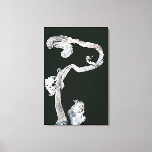 Native Silver Canvas Afdruk (Voorkant)