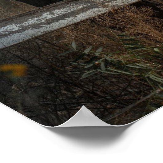 Native Smoke Poster (Hoek)