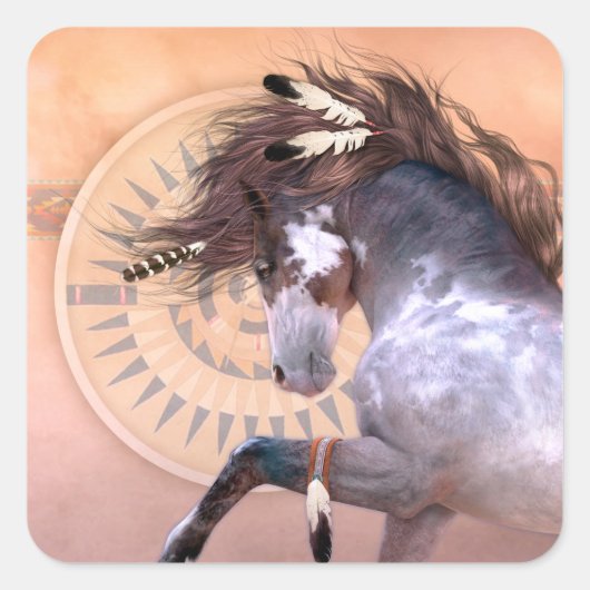 Native Spirit I Stickers (Voorkant)