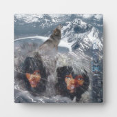 Native Spirit in Alaska Fotoplaat (Voorkant)