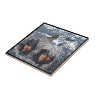 Native Spirit in Alaska Tegeltje