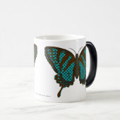 Native Swallowtail Mok (Voorkant rechts)