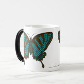 Native Swallowtail Mok (Voorkant links)