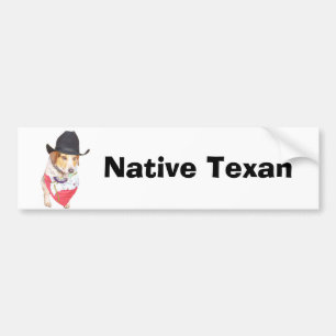 Native Texan Bumpersticker
