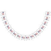 Native Texan Flag Vlaggetjes (Alle)