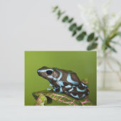 Native to Panama Briefkaart (Staand voorkant)