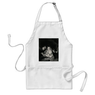 Nativiteit Baby Jesus Virgin Mary Angels Black Whi Standaard Schort