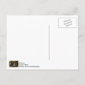 Nativiteit Ornament Isiah Zeventienveertienkerst Briefkaart (Achterkant)