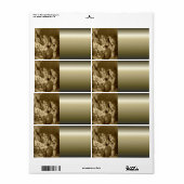 Nativiteit-scènecadeautjes voor kerstmis etiket (Full Sheet)