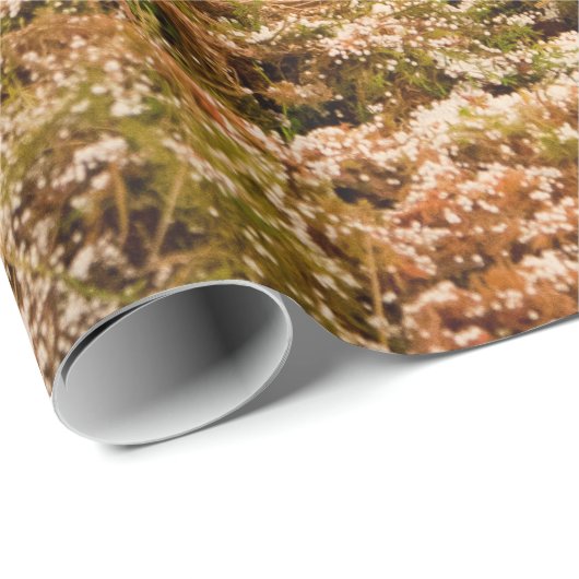 Nativiteitsscène Cadeaupapier (Rol Hoek)