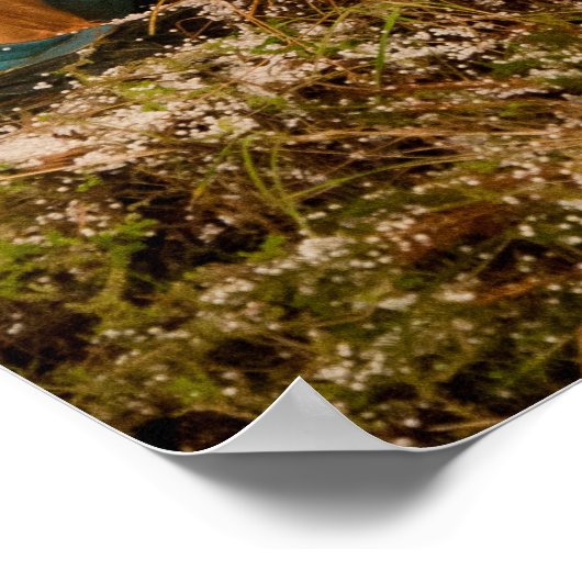 Nativiteitsscène Poster (Hoek)