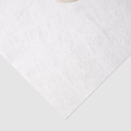 Nativity Design Collectie 1 Tissuepapier (Detail)