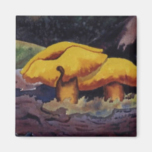 Natnature Odd Magnet