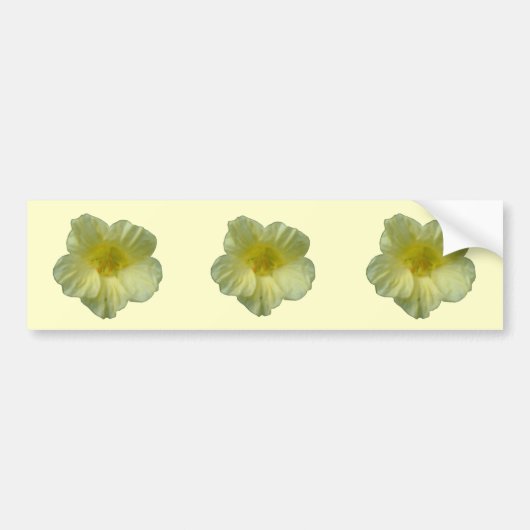  natsurtiumventilatorBumpersticker Bumpersticker (Voorkant)