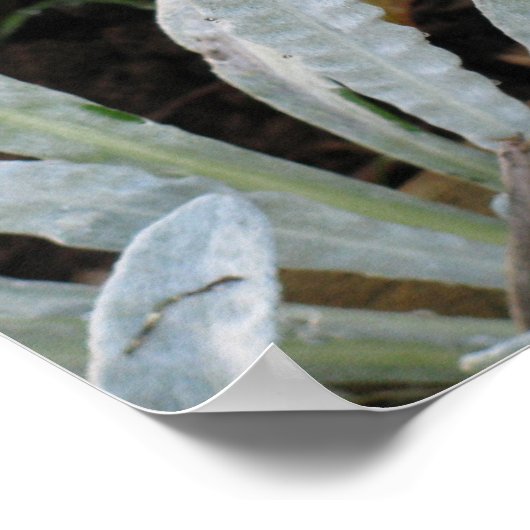 Natte aanjager poster (Hoek)