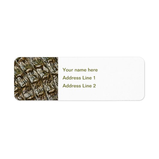 Natte alligator terug Abstracte foto Etiket (Voorkant)