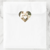 Natte Arctische Wolf in Spring Foto Hart Sticker (Tas)