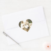 Natte Arctische Wolf in Spring Foto Hart Sticker (Envelop)