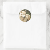 Natte Arctische Wolf in Spring Foto Ronde Sticker (Tas)