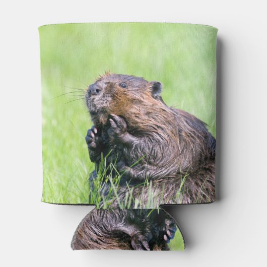 Natte bever blikjeskoeler (Achterkant)